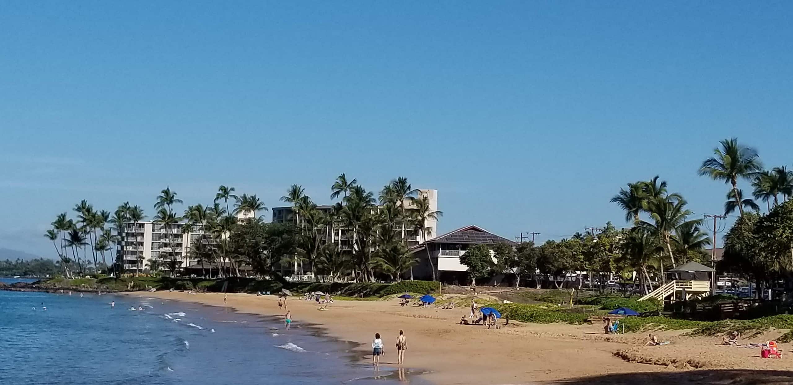 Condo in Kihei · ★4.91 · 2 bedrooms · 3 beds · 2 baths - Image 40