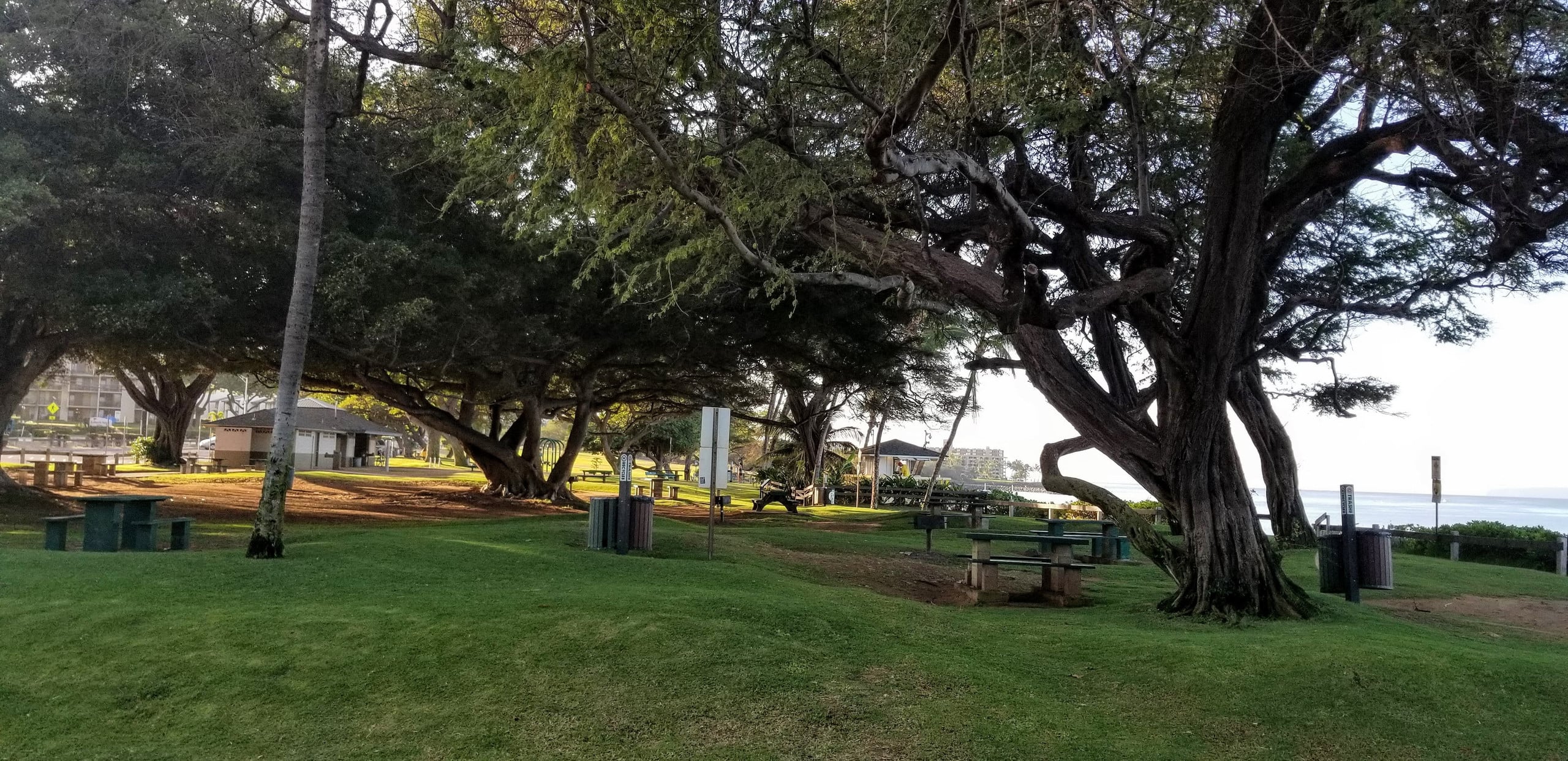 Condo in Kihei · ★4.91 · 2 bedrooms · 3 beds · 2 baths - Image 35