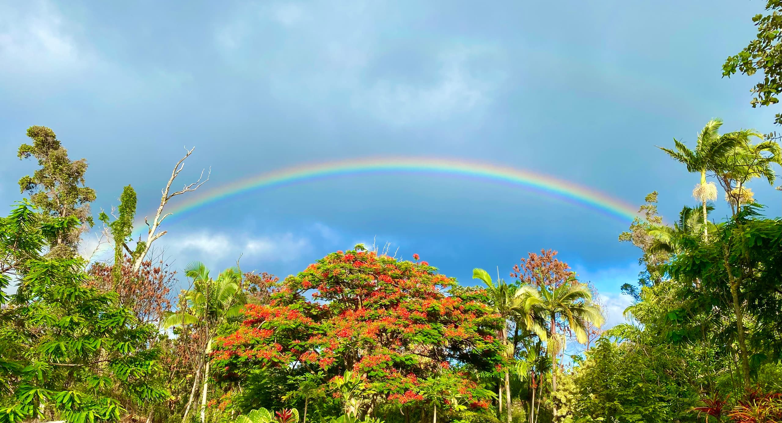 Home in Pahoa · ★4.96 · 3 bedrooms · 3 beds · 2 baths - Image 24