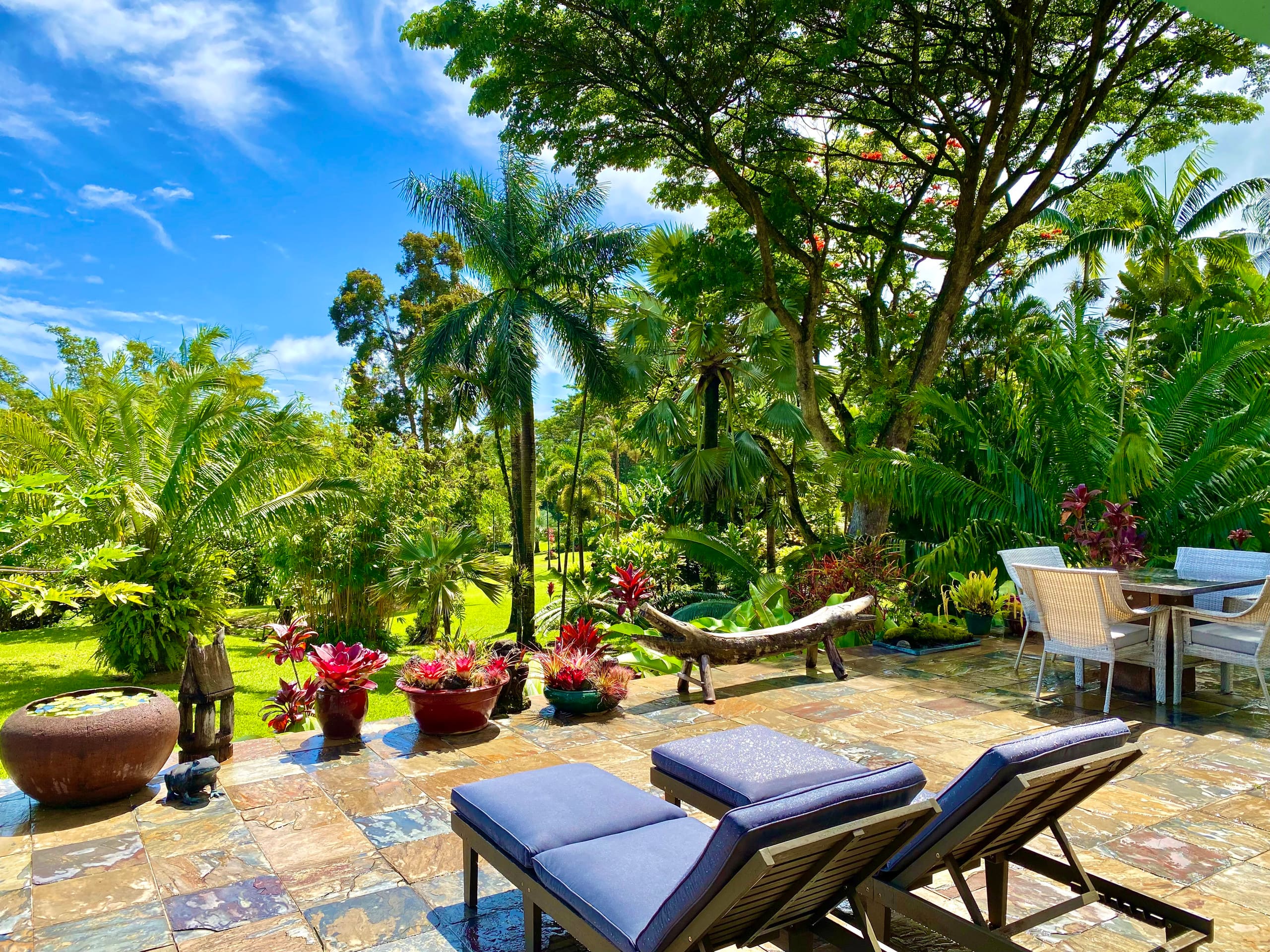 Home in Pahoa · ★4.96 · 3 bedrooms · 3 beds · 2 baths - Image 15