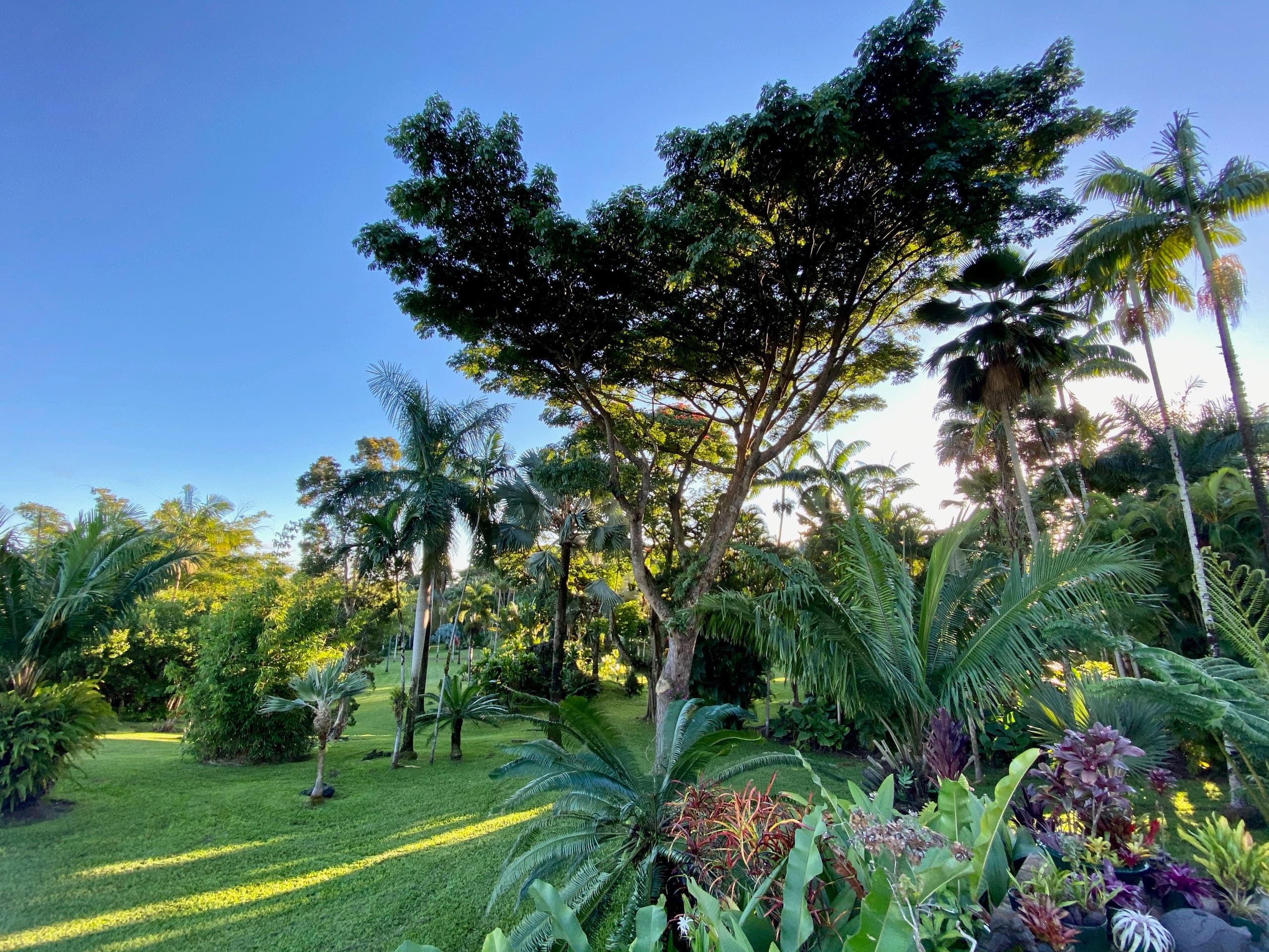 Home in Pahoa · ★4.96 · 3 bedrooms · 3 beds · 2 baths - Image 18