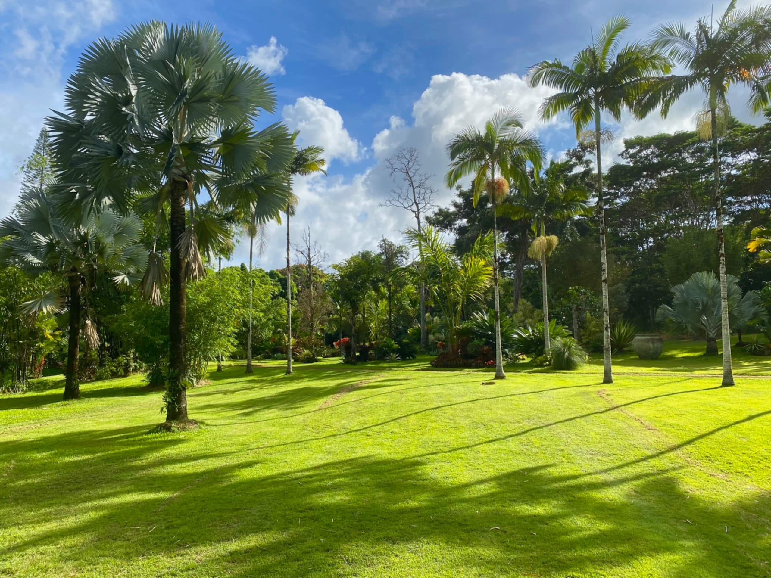 Home in Pahoa · ★4.96 · 3 bedrooms · 3 beds · 2 baths - Image 21