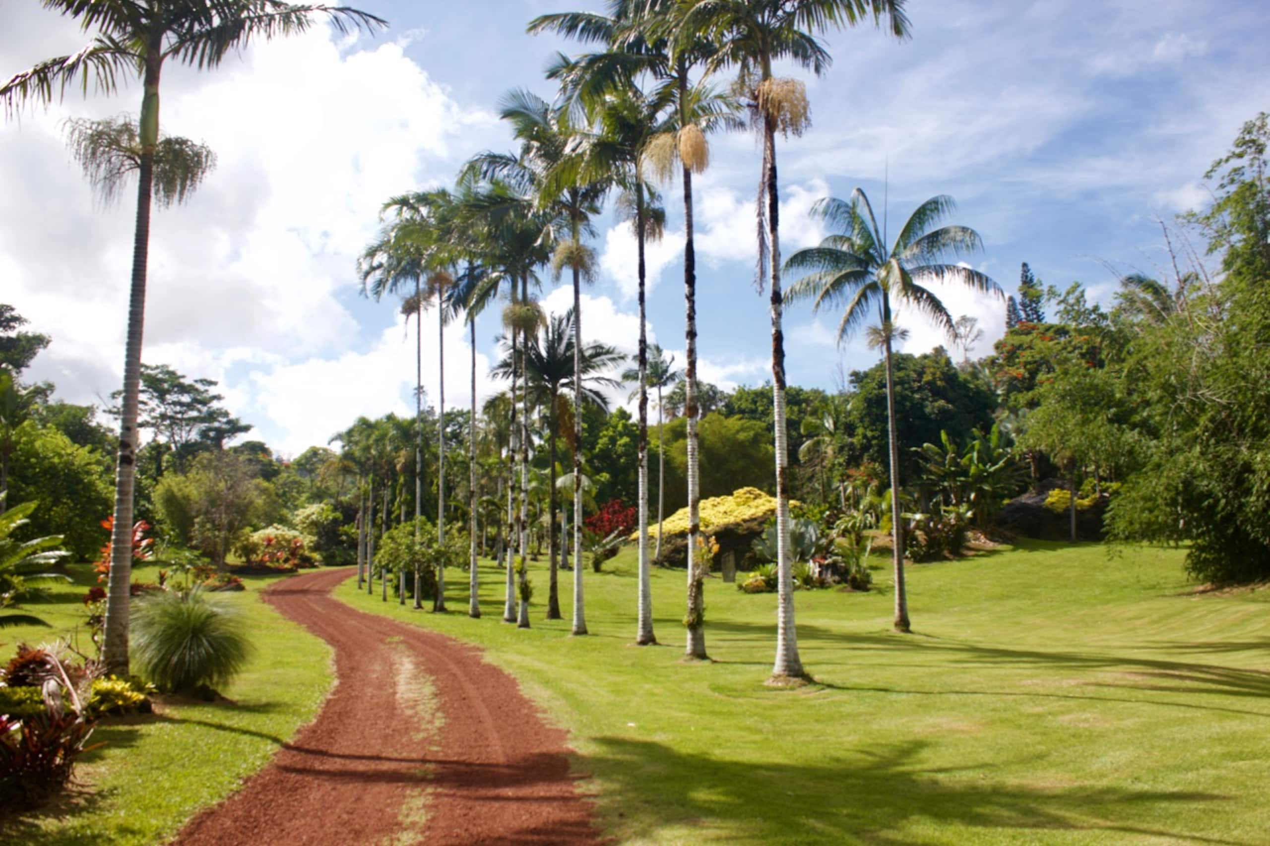 Home in Pahoa · ★4.96 · 3 bedrooms · 3 beds · 2 baths - Image 19