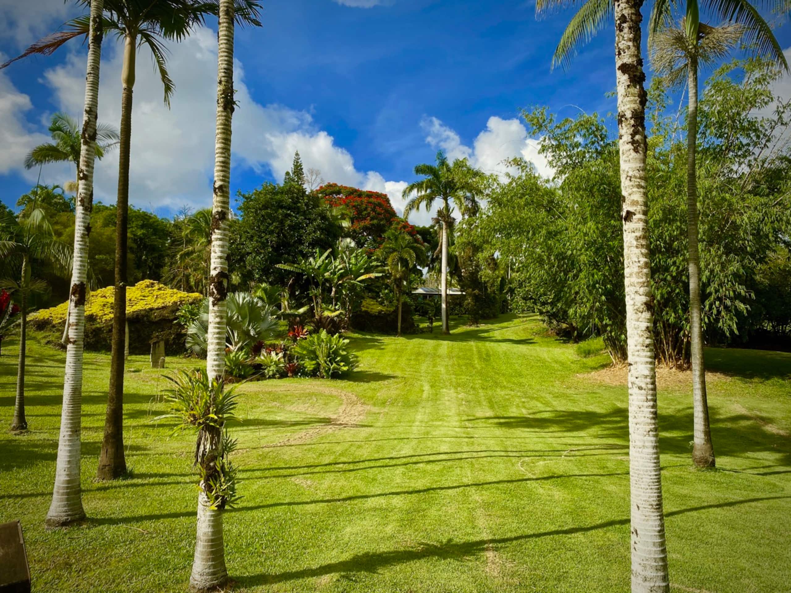Home in Pahoa · ★4.96 · 3 bedrooms · 3 beds · 2 baths - Image 20