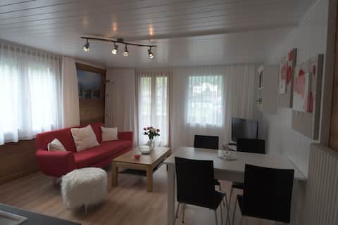 Top Airbnb: Haus Wiedersehen, Apartment "Weissmies" (3 rooms) in Saas Grund