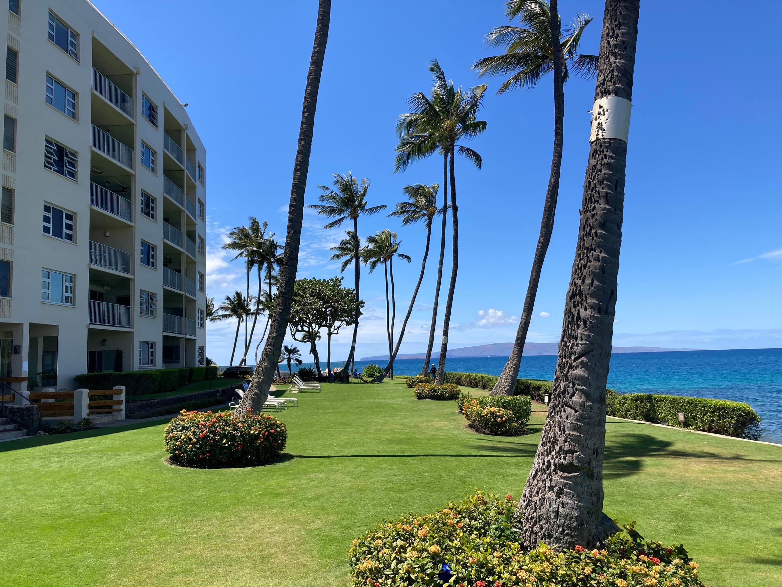 Condo in Kihei · ★4.87 · 2 bedrooms · 3 beds · 2 baths - Image 34