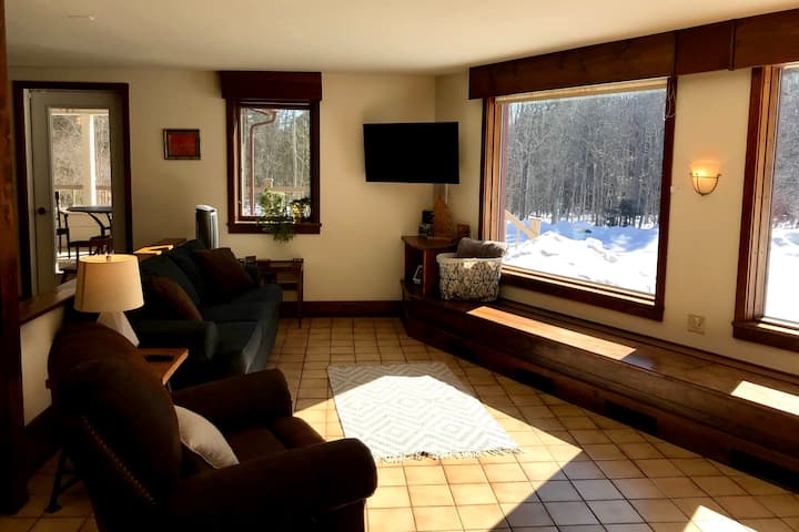 宽敞的客厅设有智能电视、拉出式标准双人沙发和朝向院子的大窗户。