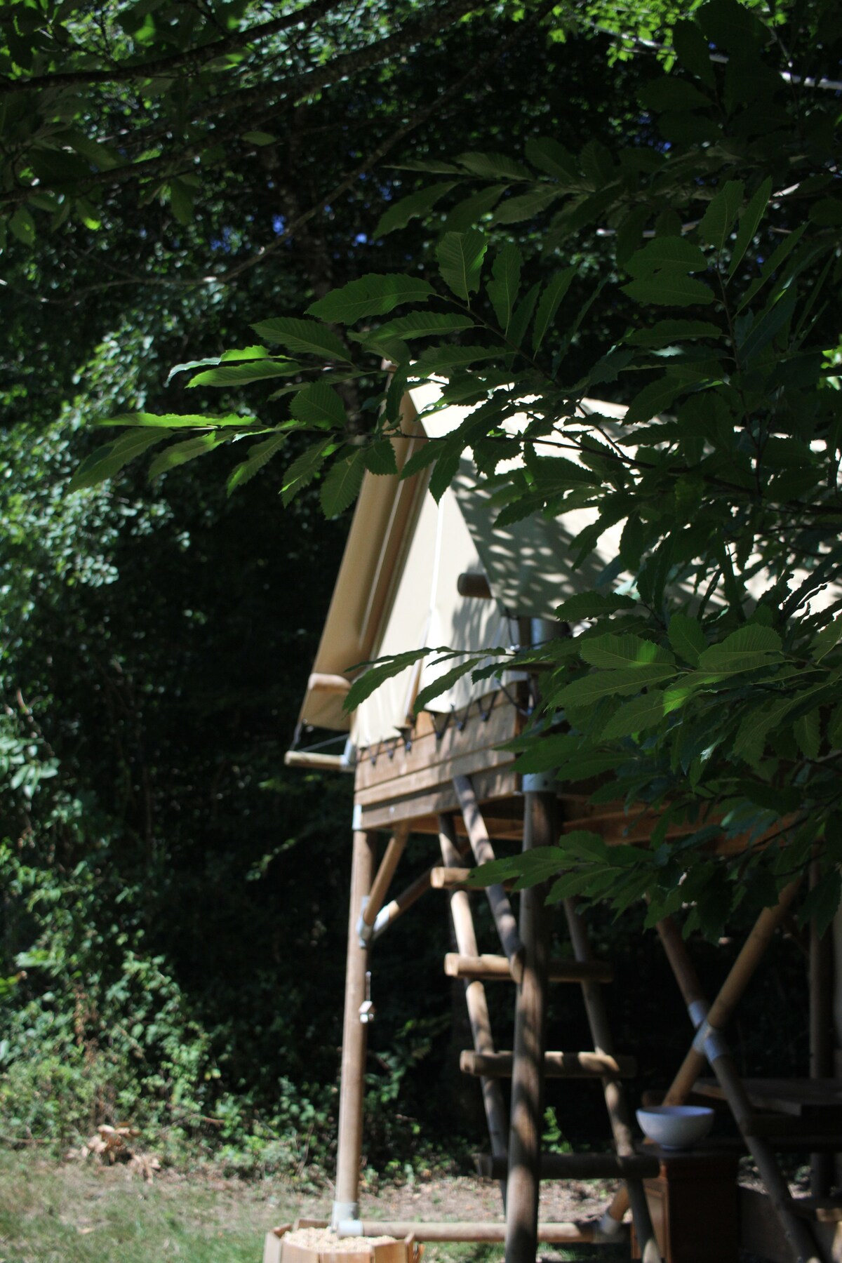 A charming semi-elevated accommodation is nestled among lush greenery, with a wooden ladder leading to its entrance. The structure is partially obscured by vibrant green leaves, creating a serene connection with nature.