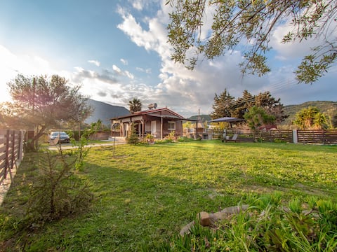 Wooden-Home Experience