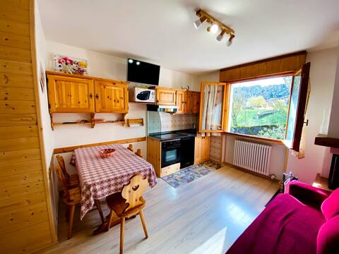 Wood, nature, Asiago forest, Roana, Cesuna