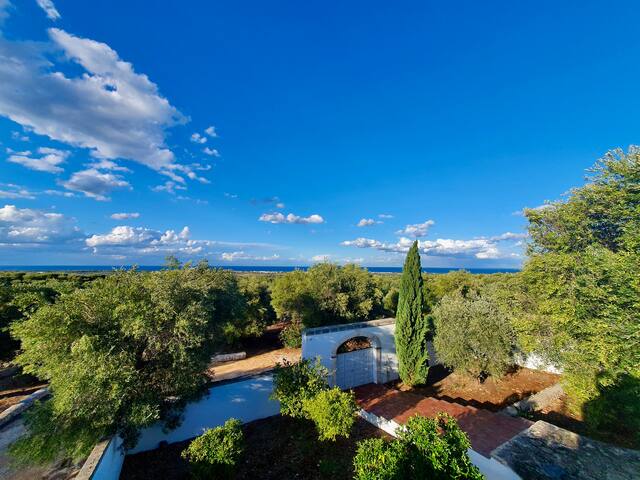 Villa La Corte -villa sea view – pool & garden gallery image 3