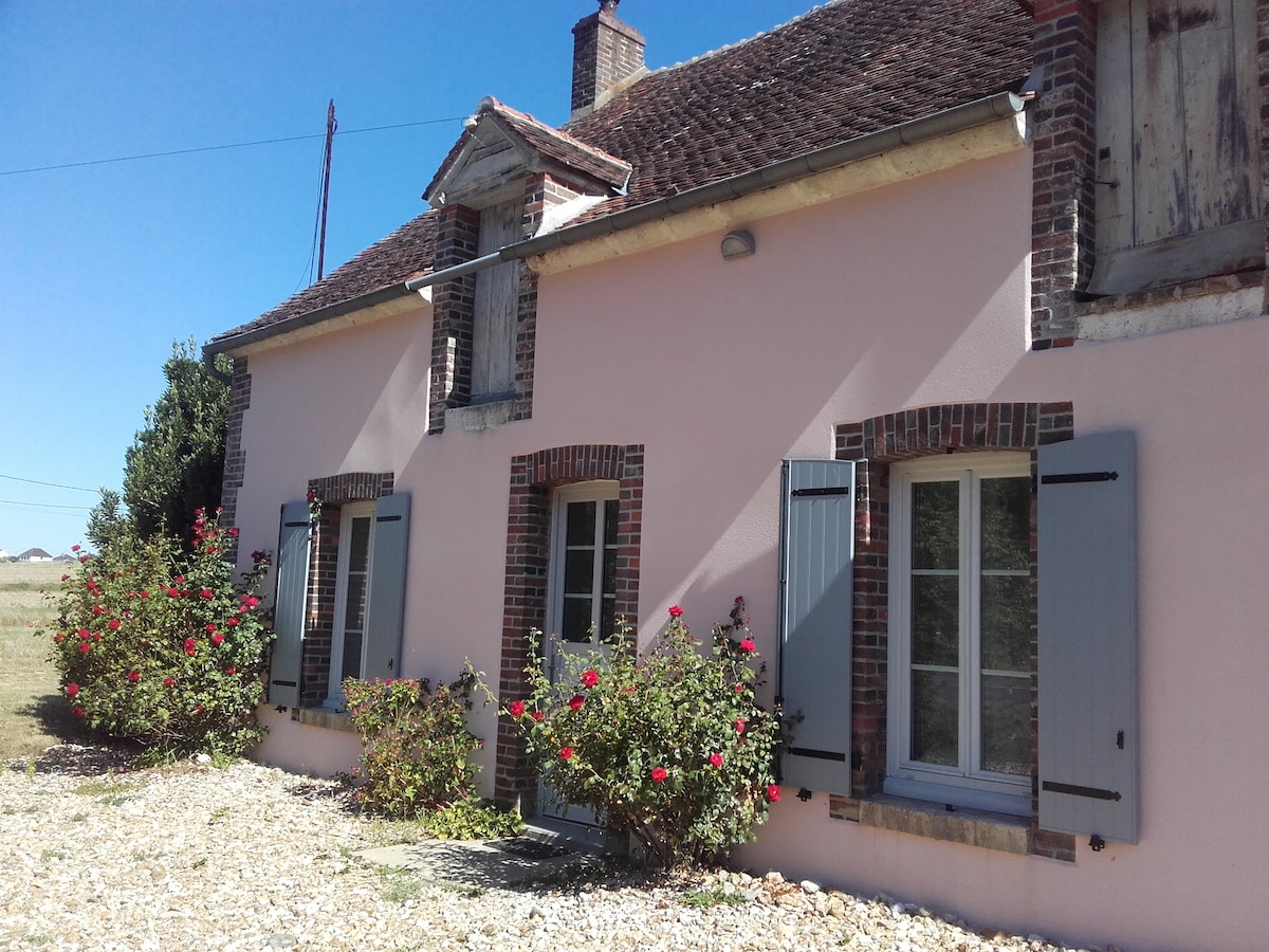 The exterior of the house features a light pink facade with exposed brick accents and gray shutters. Flowering rose bushes in front add a touch of greenery. The roof is covered in traditional tiles, while a clear blue sky serves as a backdrop.