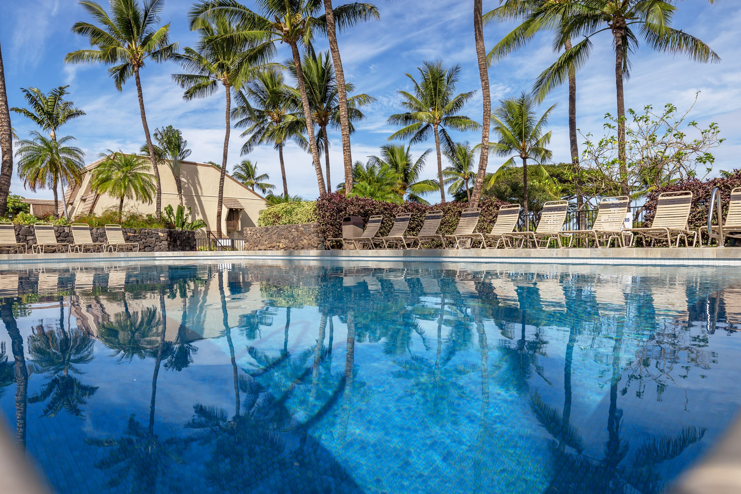 Condo in Kihei · ★4.98 · 2 bedrooms · 4 beds · 2 private baths - Image 5