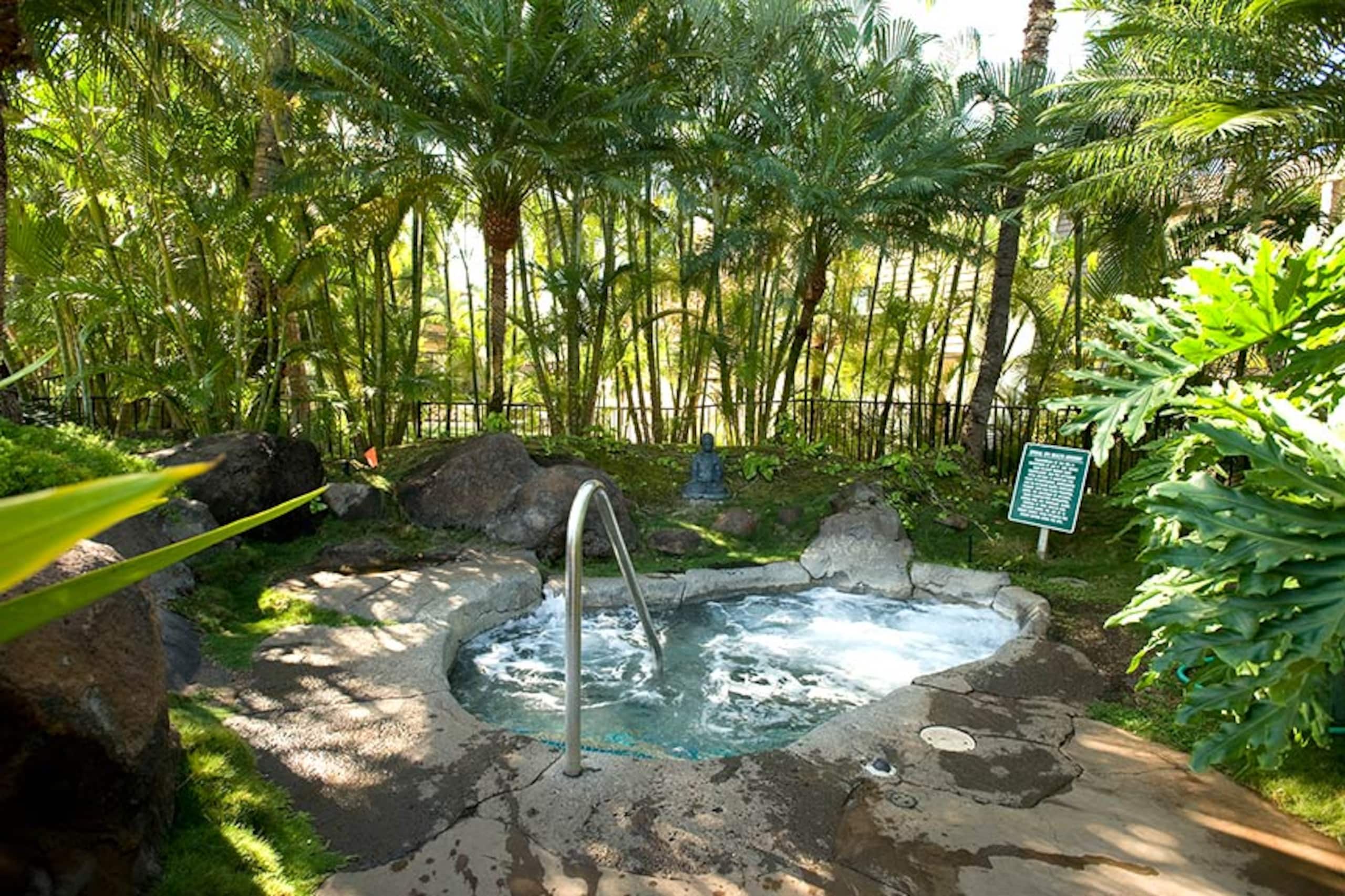 Condo in Kihei · ★4.98 · 2 bedrooms · 4 beds · 2 private baths - Image 3