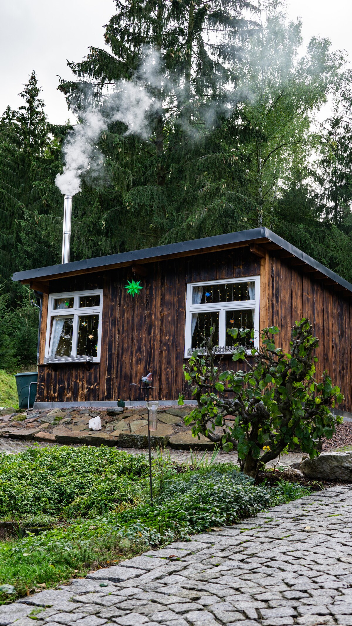 A wooden cabin is situated among tall trees, with smoke rising from its chimney. Large windows provide natural light, framing the peaceful surroundings. A stone pathway leads to the entrance, and well-maintained greenery enhances the cabin's rustic charm.