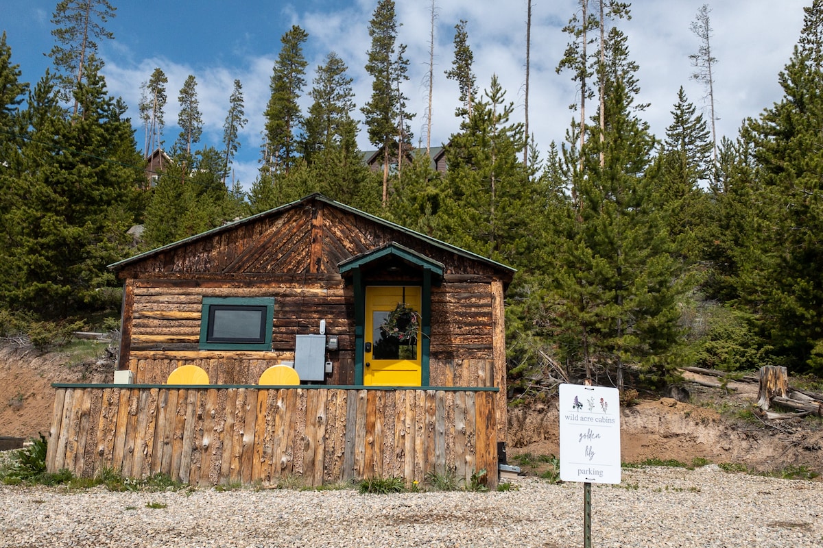 A rustic cabin is surrounded by lush trees and a gravel landscape. Bright yellow chairs are positioned on the porch, inviting relaxation. A decorative sign stands in front of the cabin, offering a welcoming touch to the natural setting.