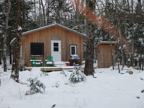 The Shack---an ideal off-grid forest experience