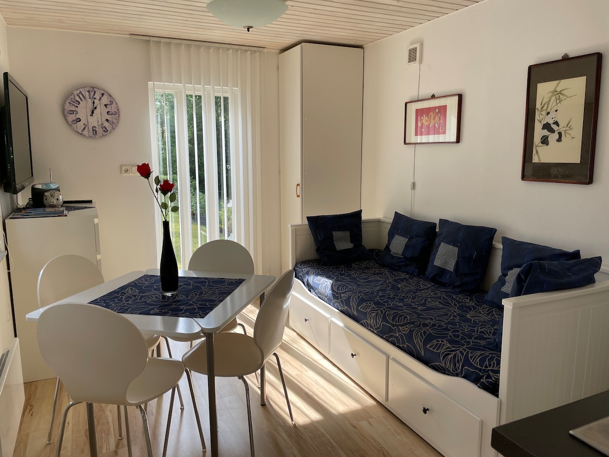 Habitación con mesa de comedor, sofá cama, cocina americana y TV de 32 pulgadas incluidos
50 canales