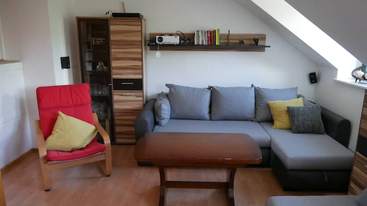 Traumhafte Wohnung Mit Parkblick - Dresden