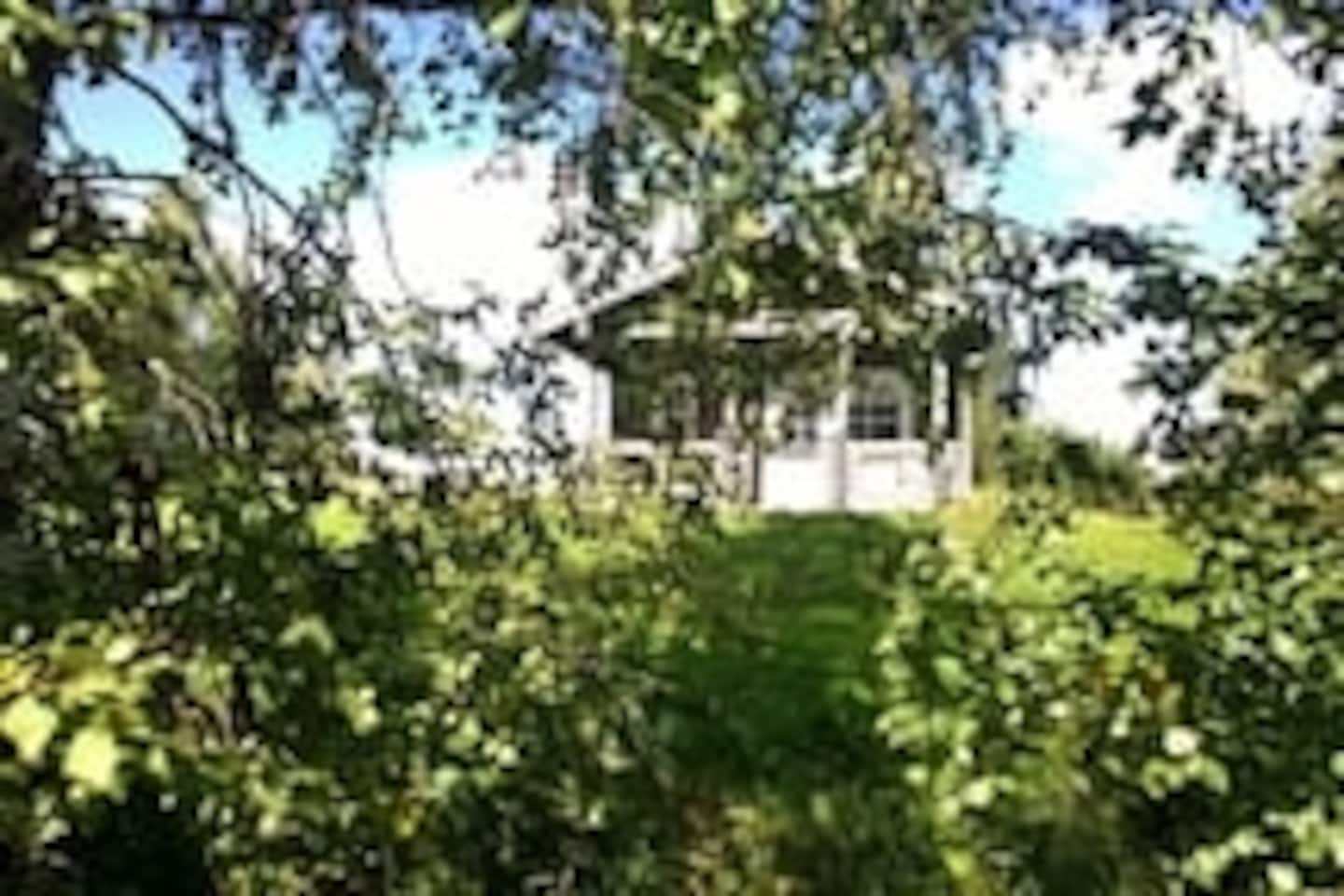 Cozy  Cottage Near The Small Lake And Nature 2