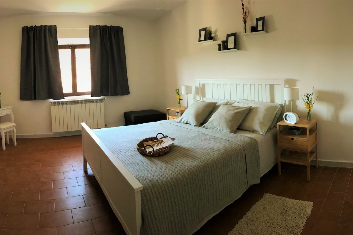 A spacious bedroom is highlighted by a large white bed with soft, neutral bedding. Nightstands are positioned on either side, each featuring a lamp and decorative items. Natural light filters through a window dressed in dark curtains, creating a calm and relaxing ambiance.