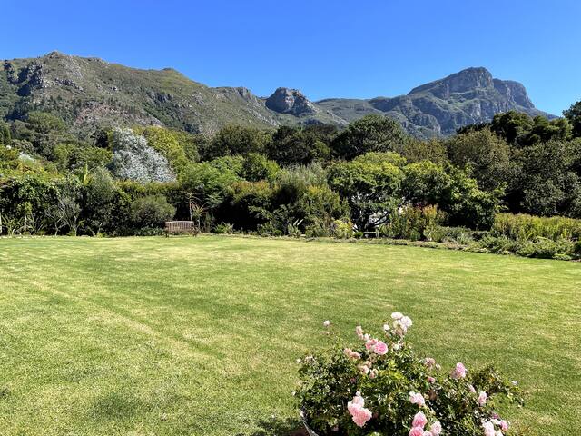 Vineyards area with gorgeous mountain views gallery image 3