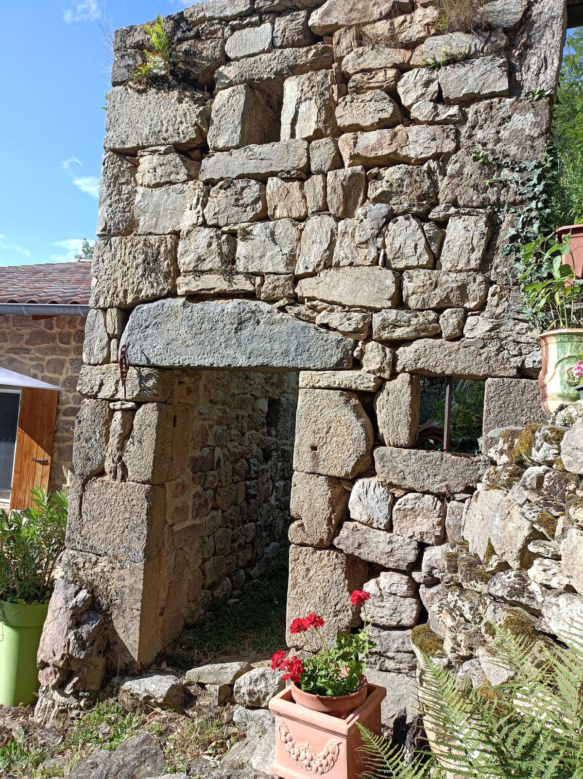 An entrance framed by rustic stone walls showcases a charming pathway, accented by a potted flower displaying vibrant red blooms. Sunlight filters through greenery above, highlighting the textured stone and inviting a sense of exploration into the surroundings.