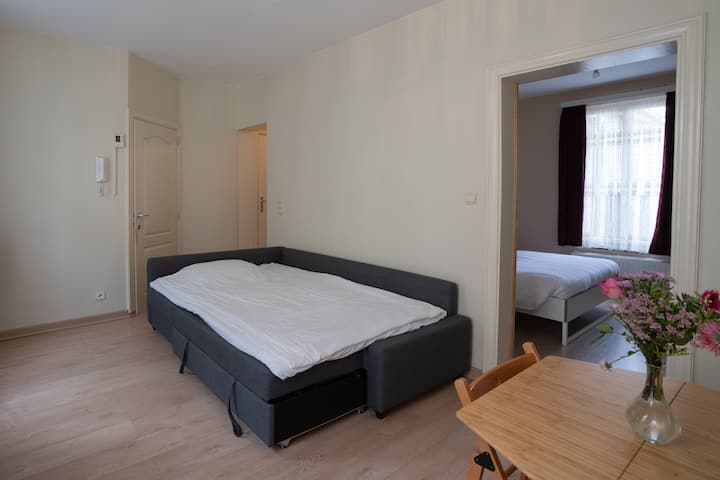 Dnevni boravak/Zajednička soba
Sofa na razvlačenje