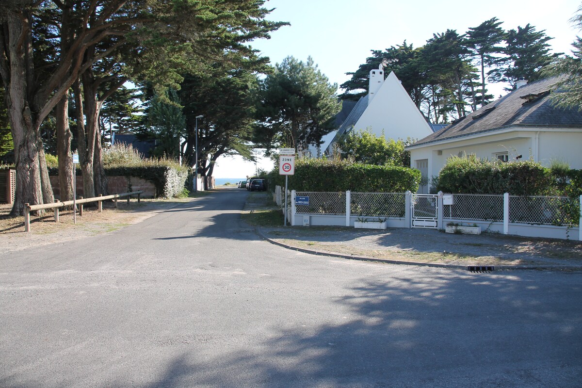 A quiet street is lined with trees, leading towards the ocean in the distance. On either side, residential houses are seen behind green hedges and fences. The scene suggests a peaceful residential neighborhood close to the seaside.