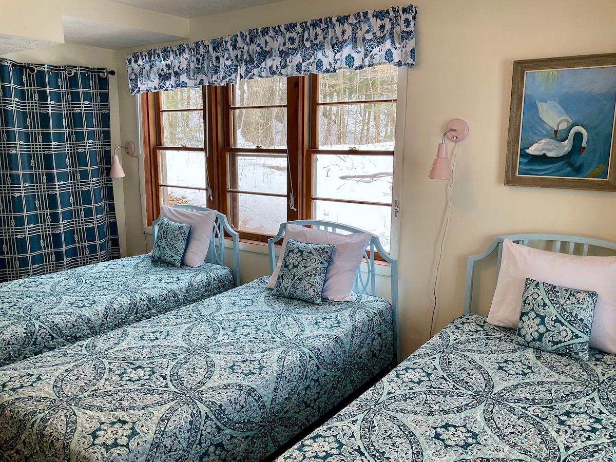 Spavaća soba u prizemlju sada ima bračni krevet koji se može namjestiti kao dva blizanca uz prethodnu najavu i uz naknadu od 30 $.  Pogled s juga ili na vrlo lijepu šumu, a na zapadno jezero Michigan. Uskoro će biti nove fotografije...