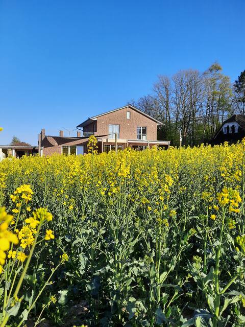 Apartment in Reinbek - near Hamburg
