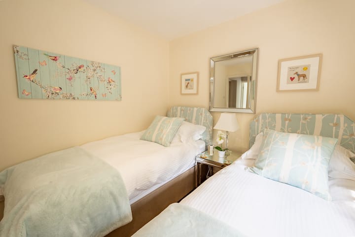 Პატარა, მყუდრო ტყუპი საძინებელი.