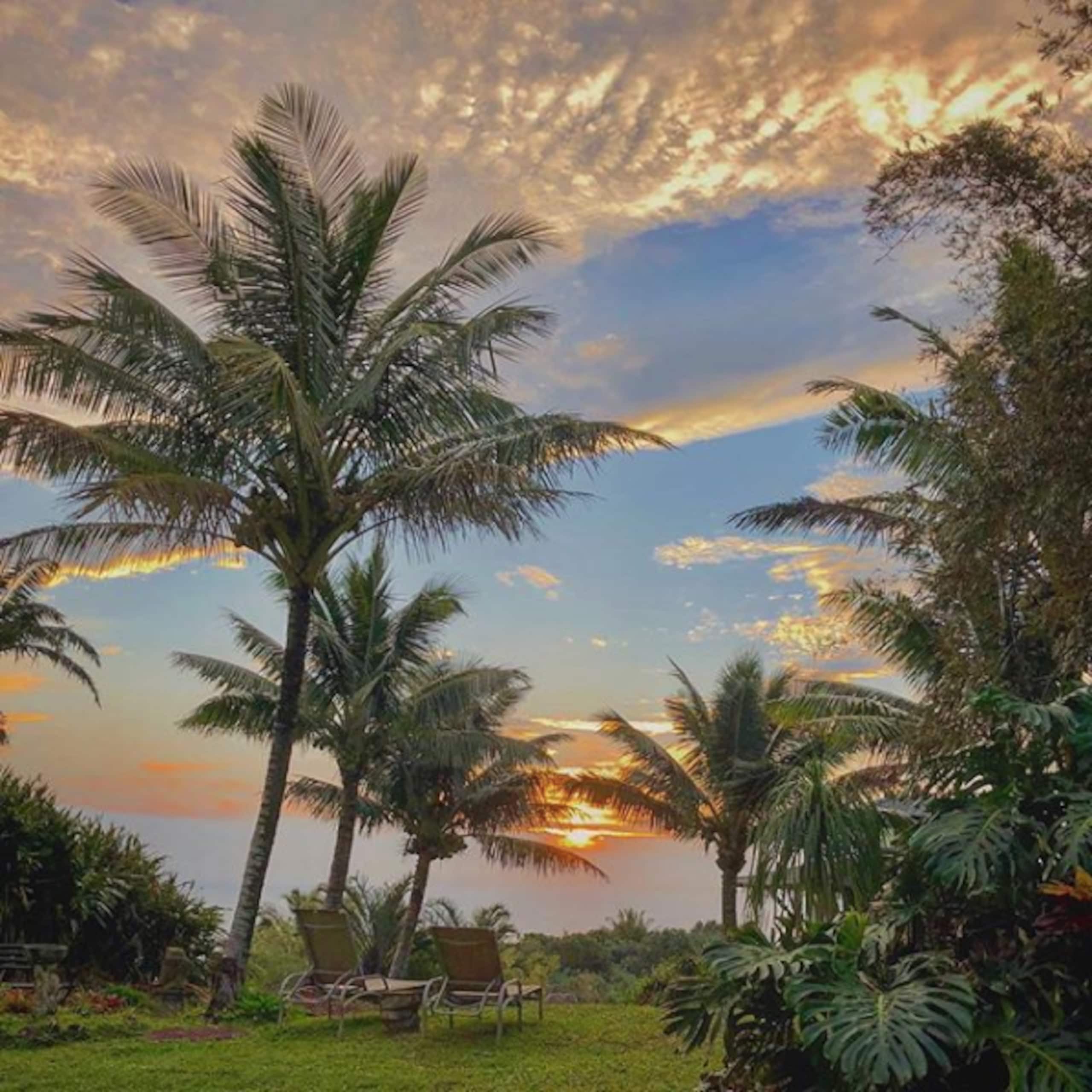 Thai Hale: Eco Retreat with OCEAN VIEW & Waterfall - Photo 16