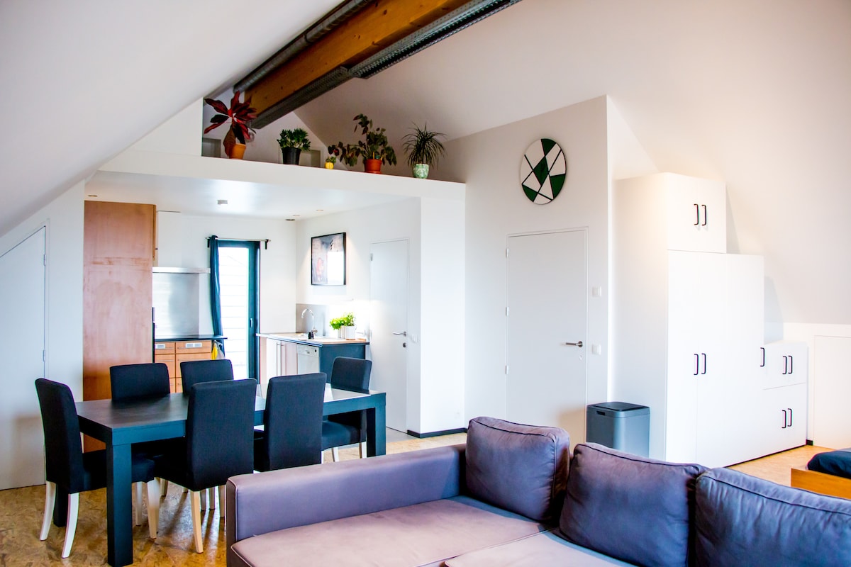 A spacious living area is visible, featuring a dark dining table surrounded by white and black chairs. In the background, a modern kitchenette is equipped with wooden cabinetry and stainless steel appliances. A light-colored couch adds comfort to the cozy layout, complemented by potted plants along the walls.