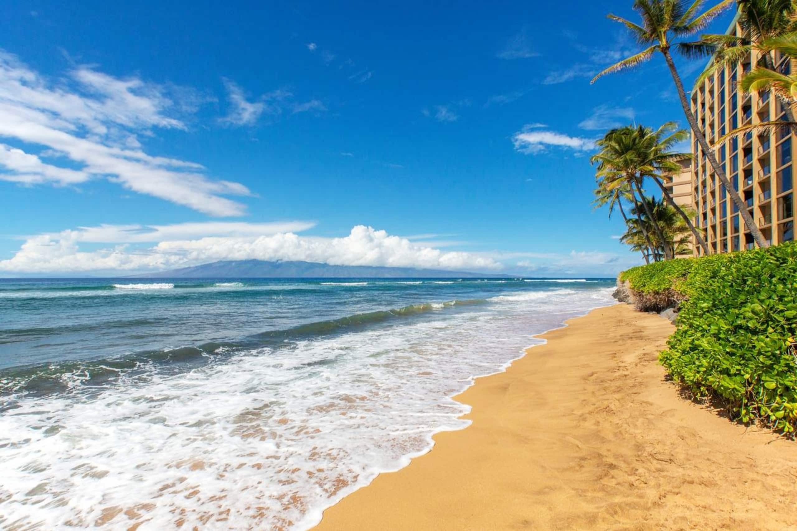 Condo in Lahaina · ★4.94 · 1 bedroom · 2 beds · 2 baths - Image 23