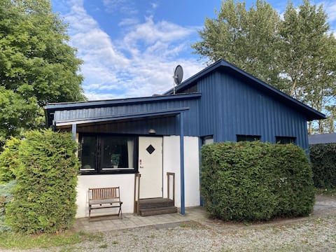 Charming blue house in southern Sweden nature
