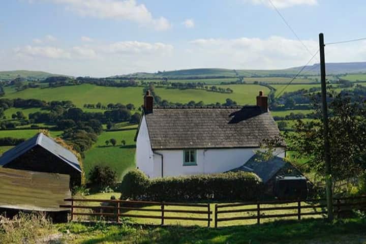 A Cosy Farmhouse Set In Idyllic North Wales - North Wales