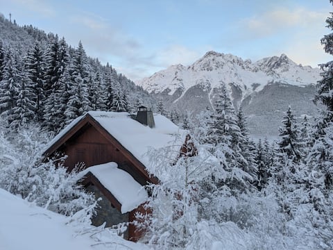 Ski-in/Ski-out Privately owned Chalet