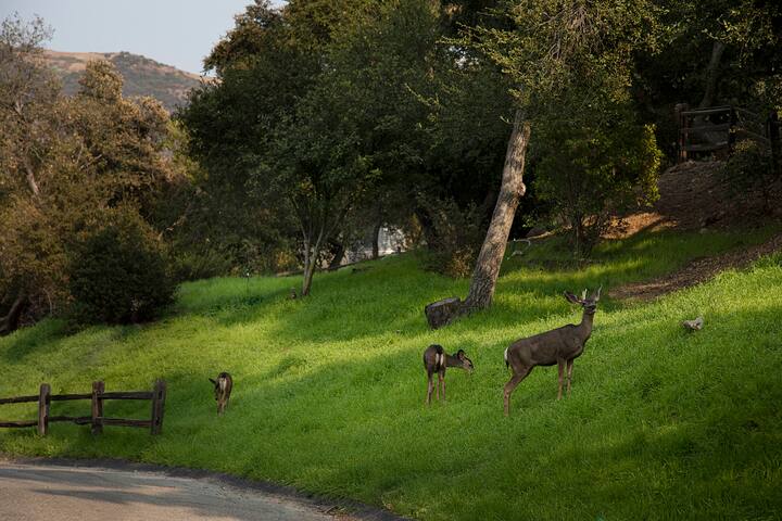 The Gate house Cabin with Cedar Hot Tub gallery image 2