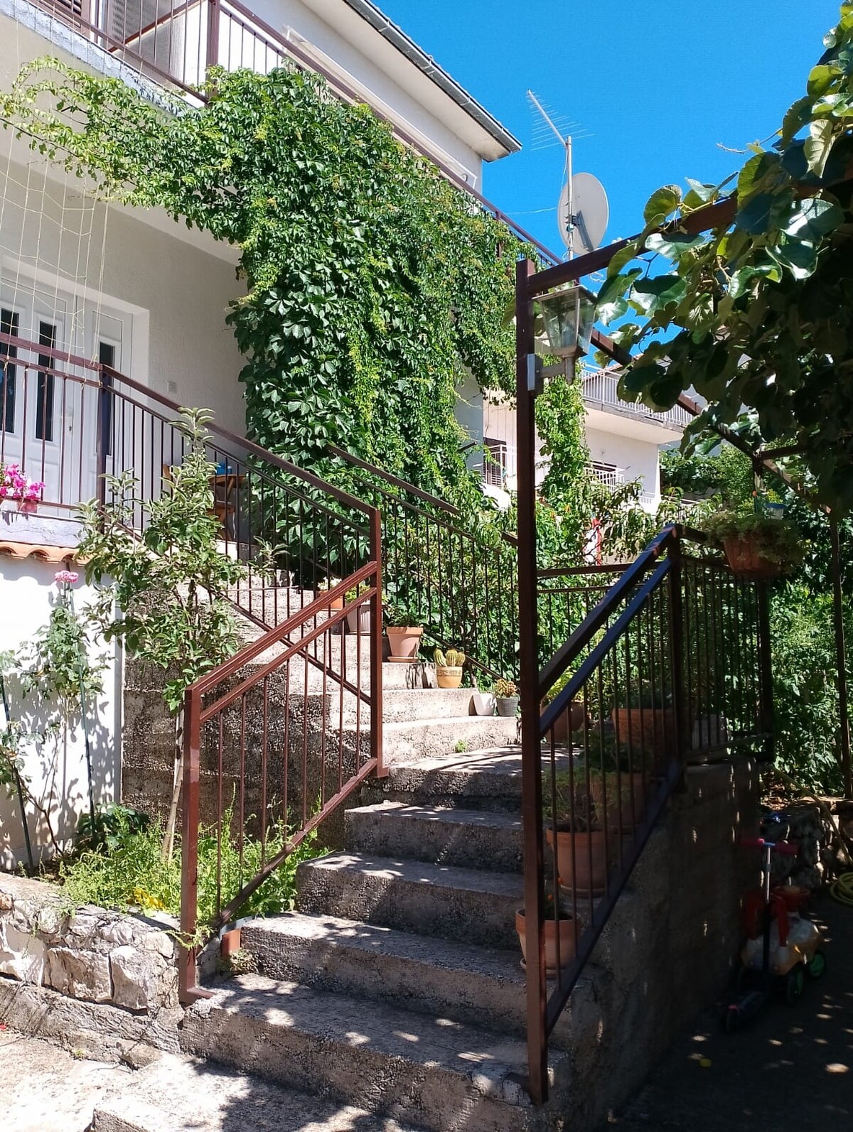 A set of stone steps leads to the entrance of a family house, lined with lush greenery and vibrant potted plants. A metal railing provides support alongside the stairs, enhancing accessibility. The bright blue sky overhead complements the tranquil atmosphere of the quiet neighborhood.