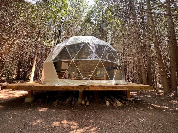 Cozy Glamping Dome in the Woods Dome houses for Rent in Meaford