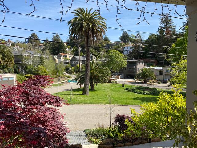 Luxury 3BR Rockridge Retreat-Walk to everything! gallery image 4