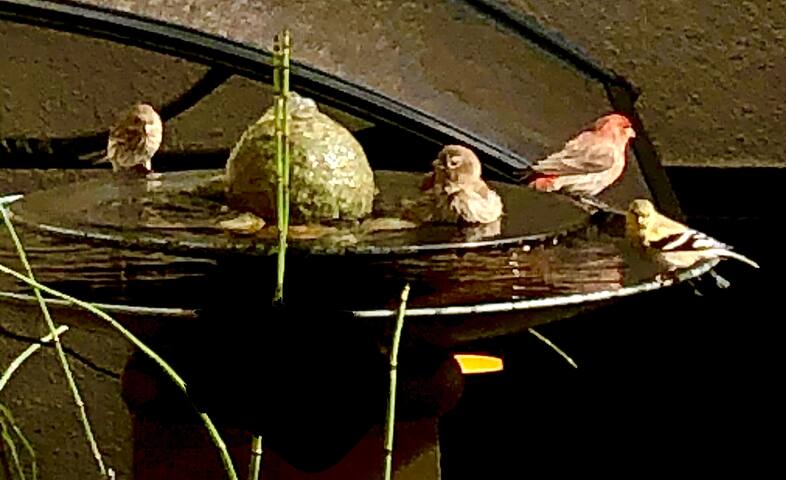 Luxury 3BR Rockridge Retreat-Walk to everything! gallery image 5