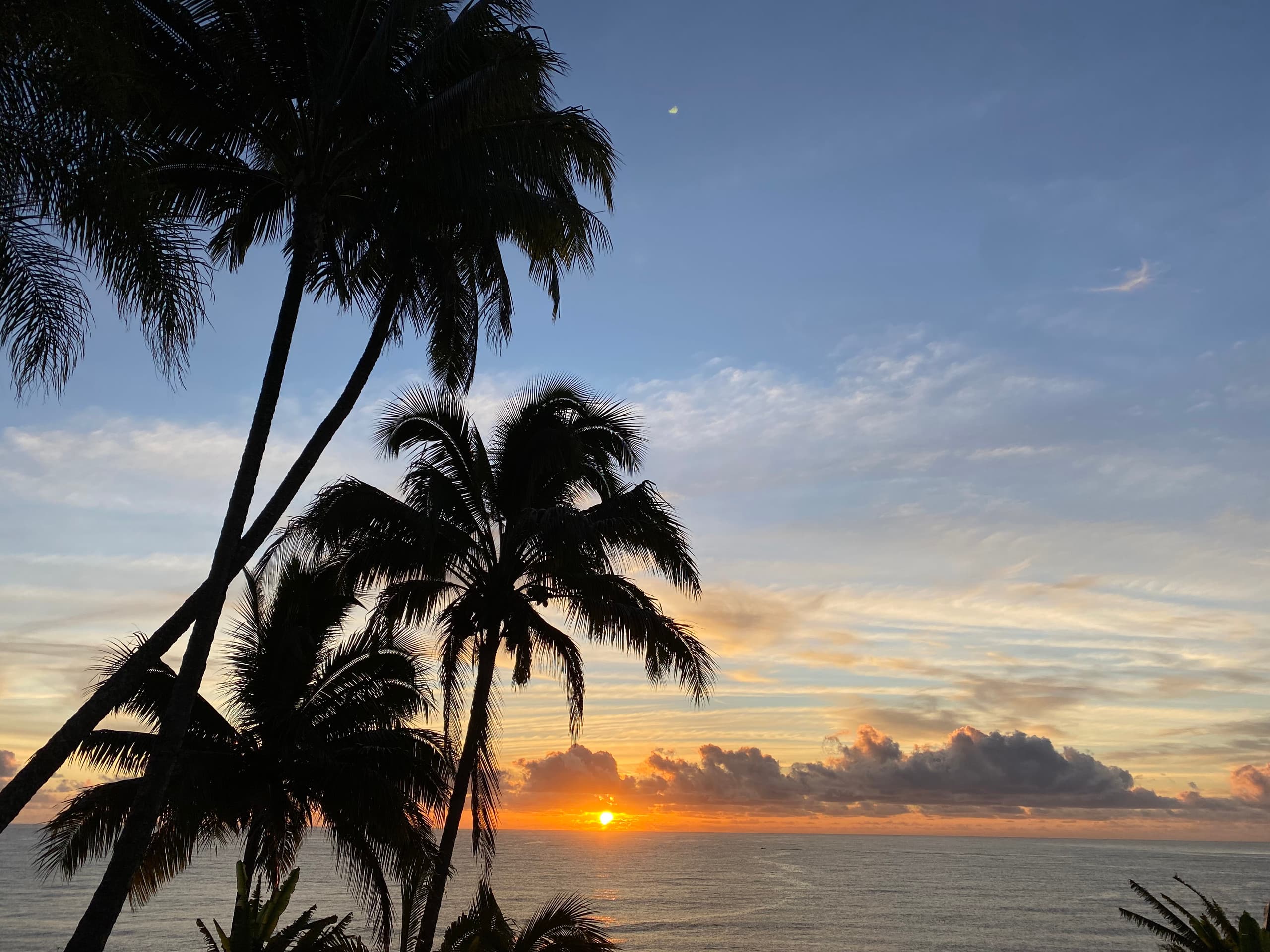 Oceanfront w/pool;surf beach! (Hale Kahoa Annex) - Image 35