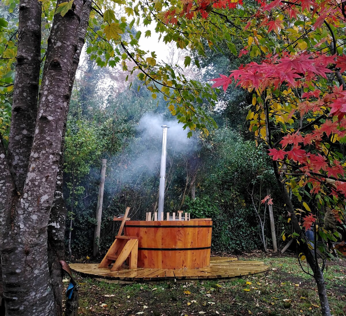 A wooden hot tub is surrounded by vibrant autumn foliage. Wisps of steam rise from the tub, creating a serene atmosphere. The space is bordered by green shrubs and two trees, which frame the peaceful outdoor setting.