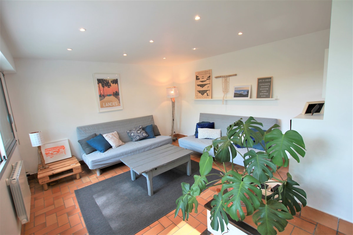 The living area is bright and open, featuring two grey sofas arranged around a wooden coffee table. A large plant is present, adding a touch of greenery. Light fixtures and art decorate the walls, contributing to a relaxed ambiance.