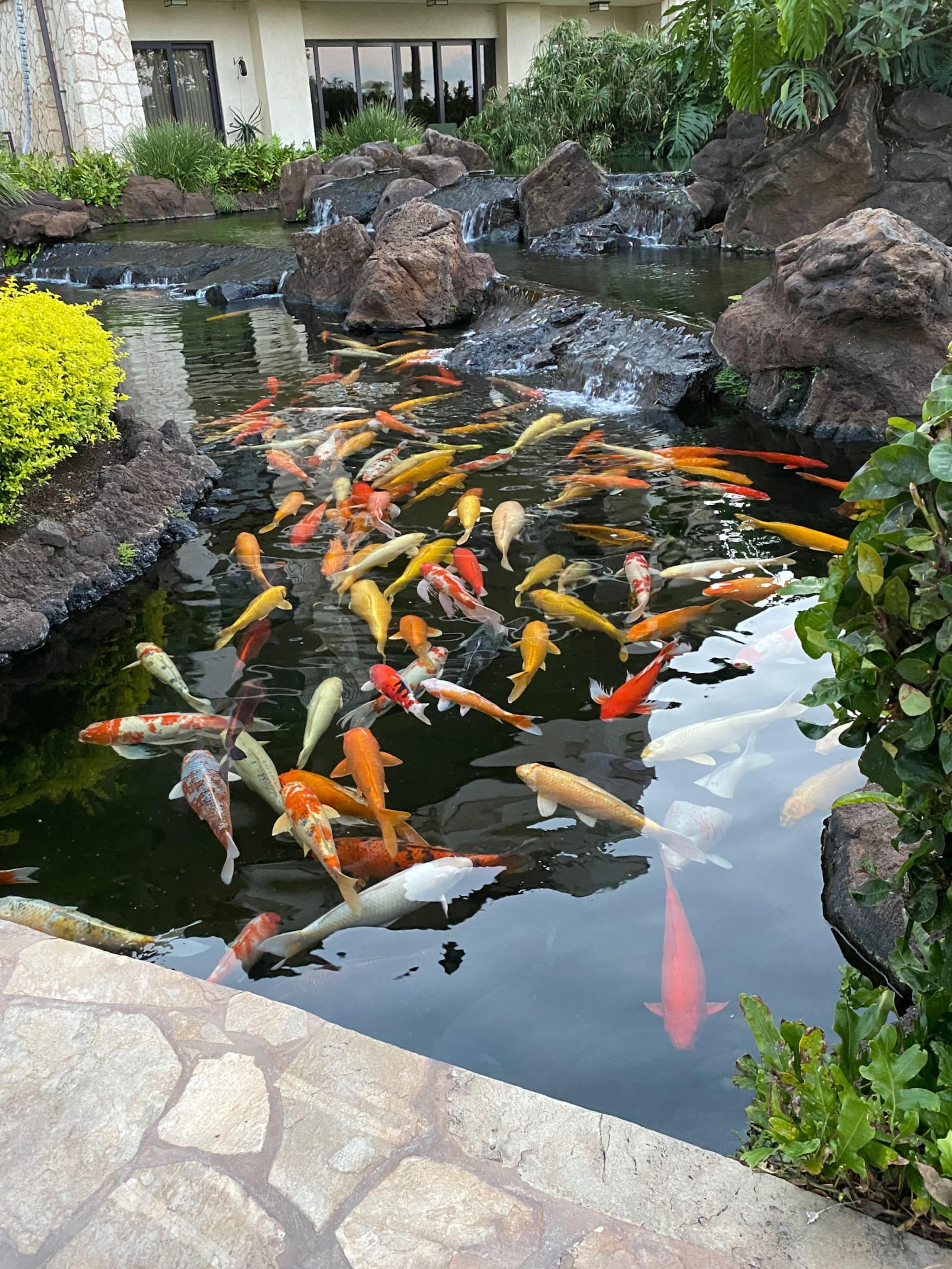 Condo in Kapolei · ★5.0 · 3 bedrooms · 5 beds · 3 private baths - Image 44