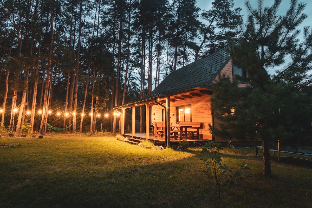 A wooden house is illuminated by warm string lights during twilight, surrounded by tall trees. A spacious porch features a wooden table and benches, inviting outdoor gatherings in a grassy area that extends toward the forest.