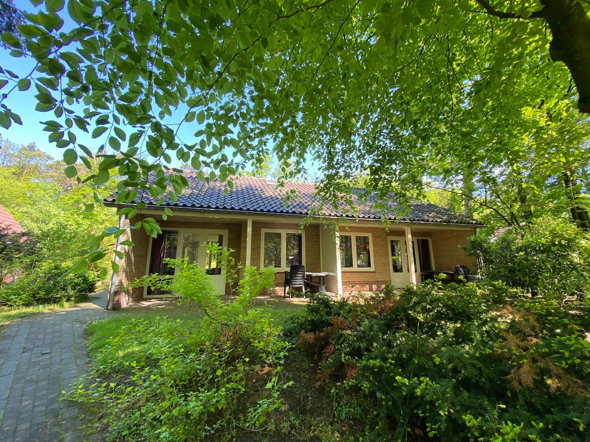 Popular Airbnb listing: Bungalow for 4 people (C31) on small forest park in Wijk 57 Garderen