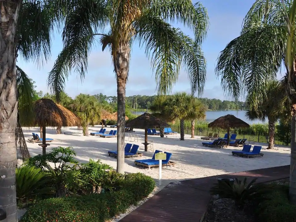 A sandy beach area is framed by tall palm trees, featuring several blue lounge chairs arranged beneath thatched-roof umbrellas. The view extends to a calm lake in the background, creating a tranquil setting surrounded by lush greenery.